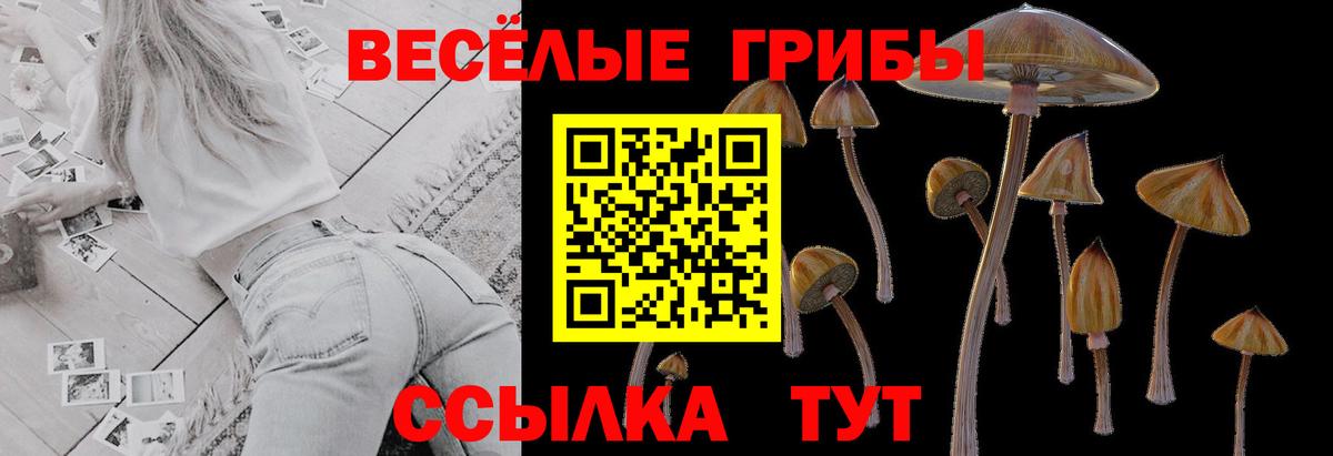 Псилоцибиновые грибы Cubensis  Галлюциногенные грибы MAGIC MUSHROOMS  Вход с VPN  Лыткарино 